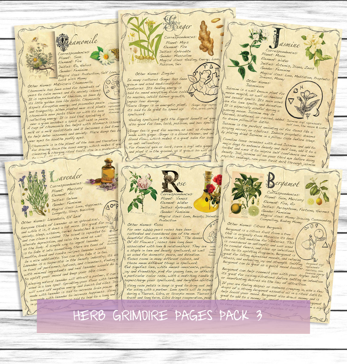 Herb Correspondences, Printable Grimoire Pages, Magical Herbs, Bos Pages, Witchcraft  Herbs, Witch Printables, Witch Ephemera, Digital 