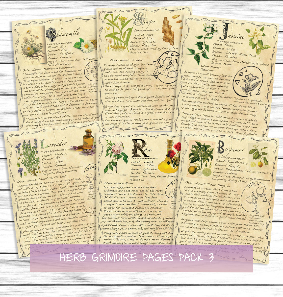 Herb Correspondences, Printable Grimoire Pages, Magical Herbs, Bos Pages,  Witchcraft Herbs, Witch Printables, Witch Ephemera, Digital