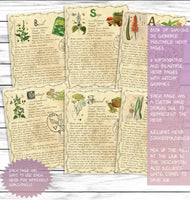 Witchy Aesthetic Herbs Book Of Shadows Witchcraft Grimoire Pages Printable