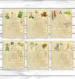 Witchy Aesthetic Herbs Book Of Shadows Witchcraft Grimoire Printable Set 2